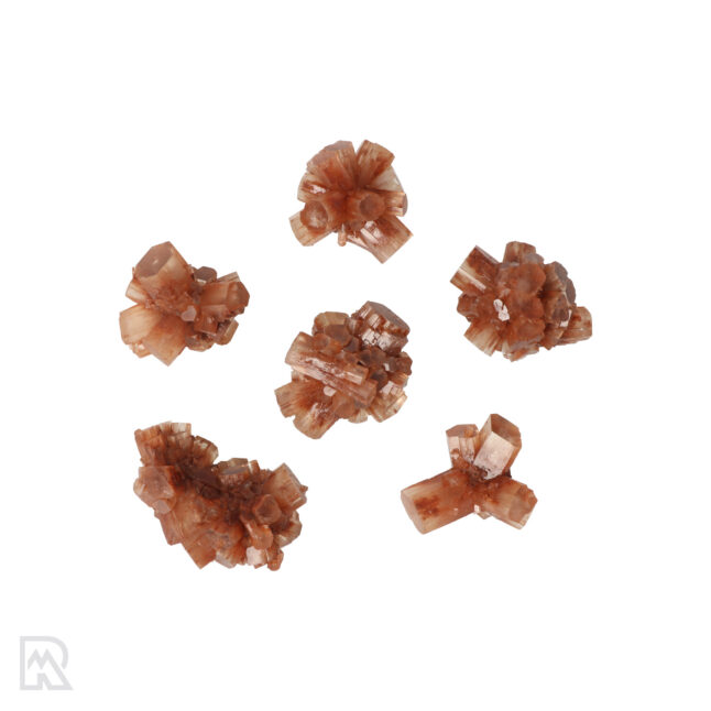 Aragonite Roses (S)