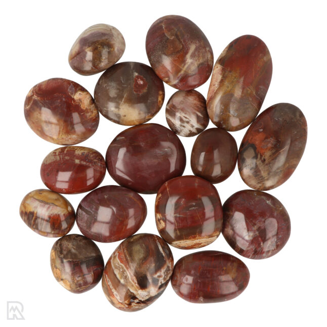 Petrified Wood Hand Stones