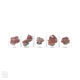 Vanadinite Sales Box