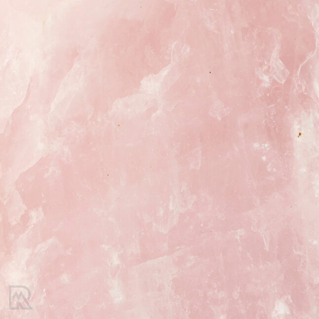 rozenkwarts-zeeppompje-brazilie-zoom