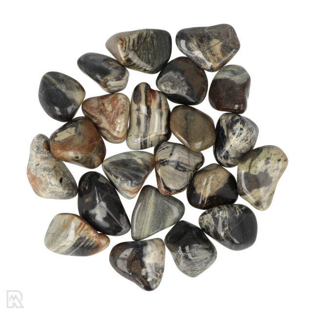 Silver Leaf Jasper Tumblestones