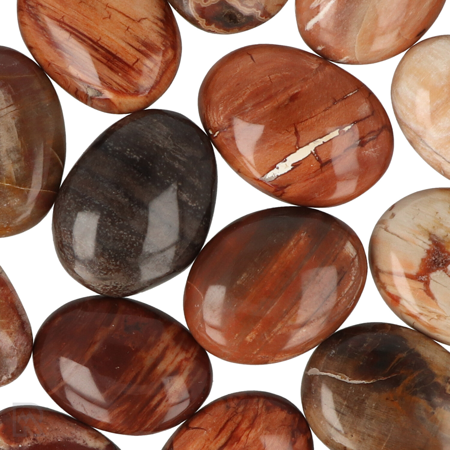 versteinerte-holz-sacksteine-madagaskar-zoom