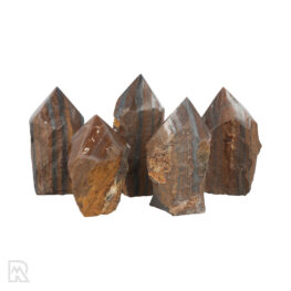 Tiger Iron Rough Polished Points