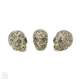 Dalmatian Jasper Skull