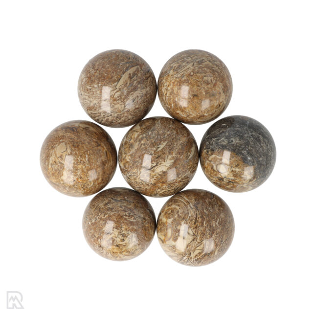 Fossil Jasper Spheres