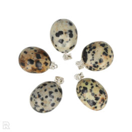 Dalmatian Jasper Health Pendant