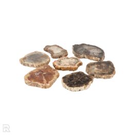 3009_versteend-hout-schijven-m_2