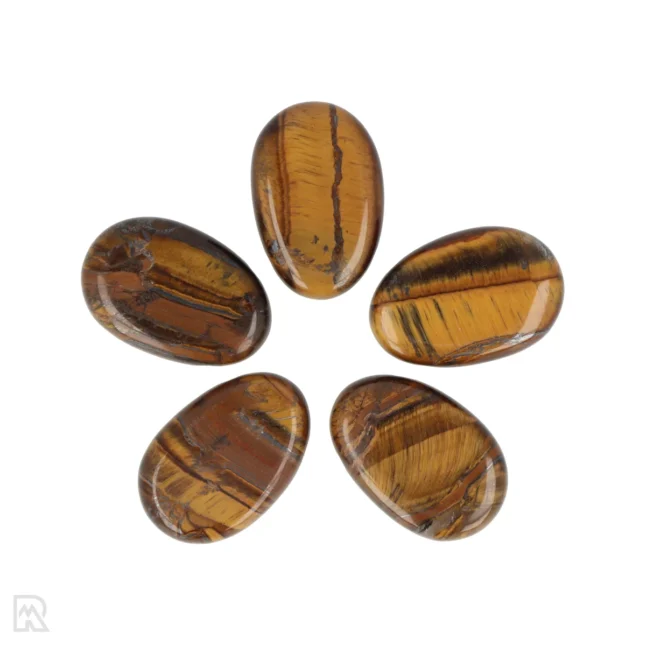 Tiger Eye Pierced Pendant