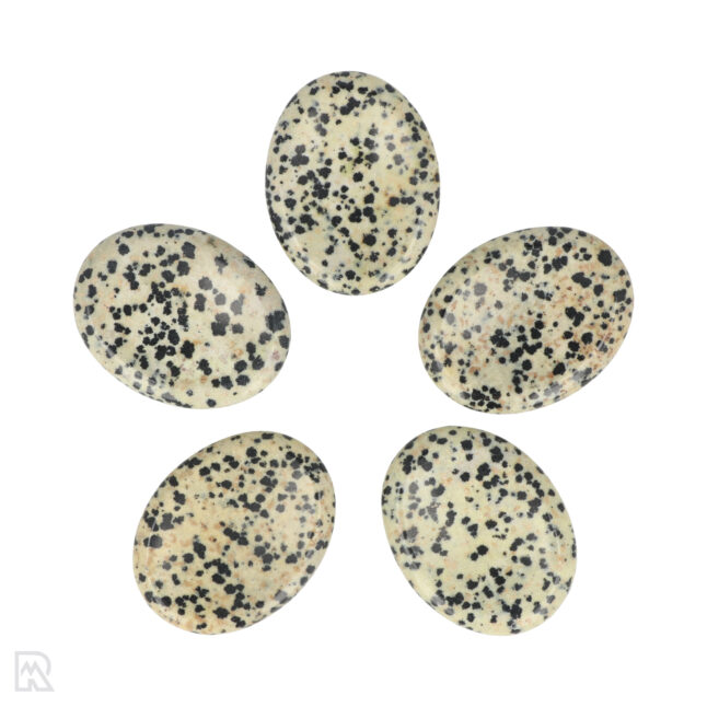 Dalmatiner Jaspis Sorgenstein | Oval