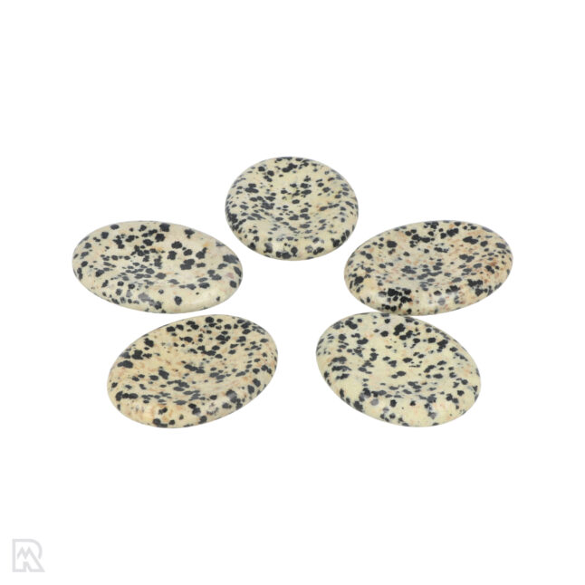 Dalmatiër Jaspis Worry Stone | Ovaal – Bild 3