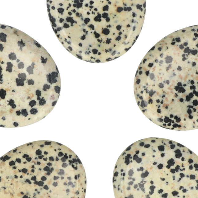 5571 dalmatier jaspis worry stones ovaal zoom