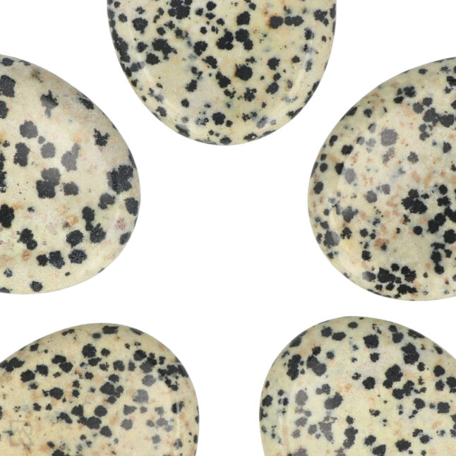 Dalmatiër Jaspis Worry Stone | Ovaal – Bild 2