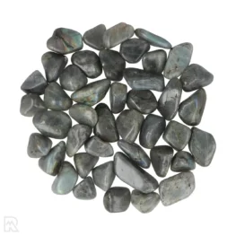 Labradoriet Trommelstenen | M/L