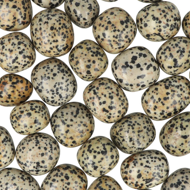 6137 dalmatier jaspis ronde trommelstenen zoom