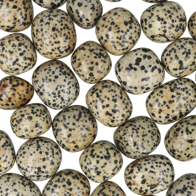 6137 dalmatian jasper round tumblestones hem