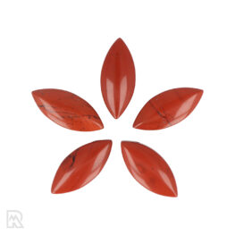 Roter Jaspis-Anhänger durchbohrt | Spitze