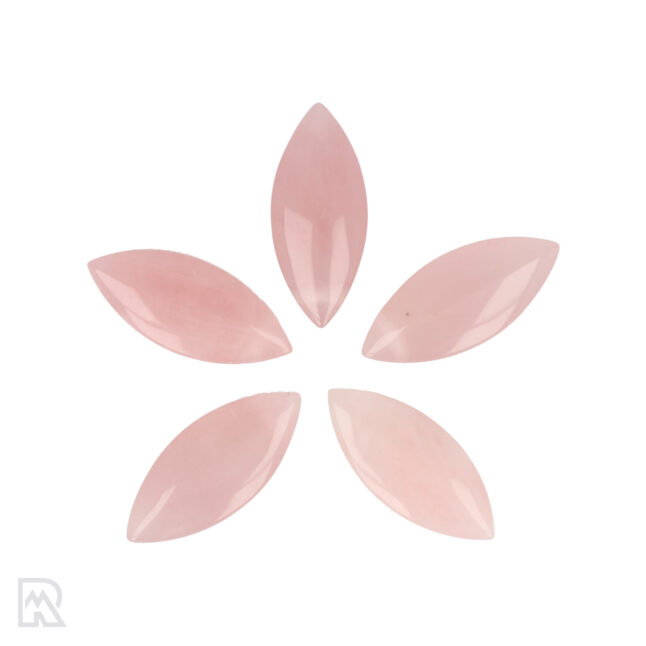 Rozenkwarts Doorboorde Hanger | Punt