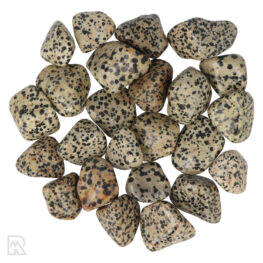 Dalmatian Jasper Tumblestones