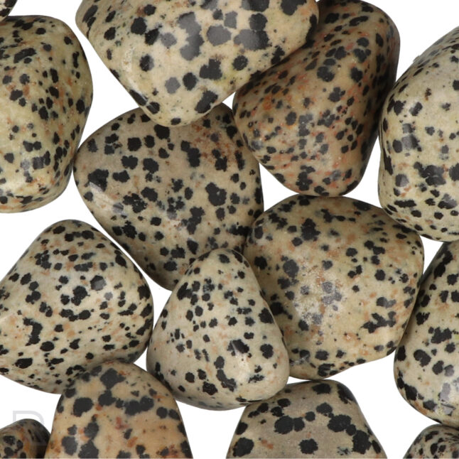 dalmatian jasper tumblestones south africa zoom