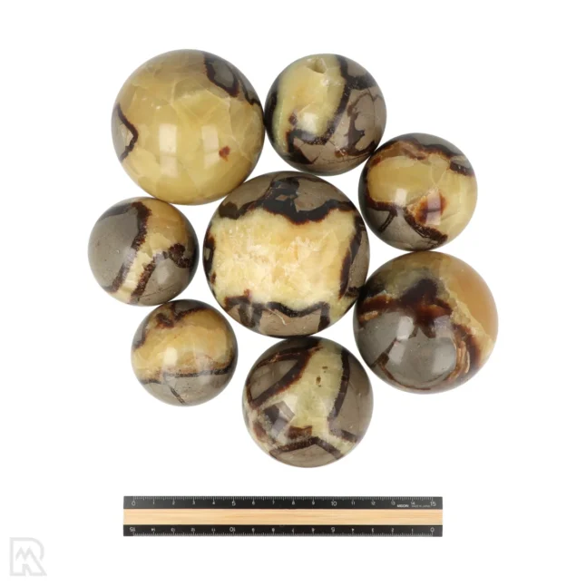 Septarie Bollen - Afbeelding 3