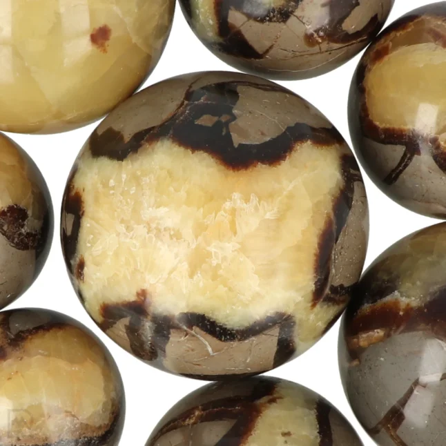 Septarie Bollen - Afbeelding 2
