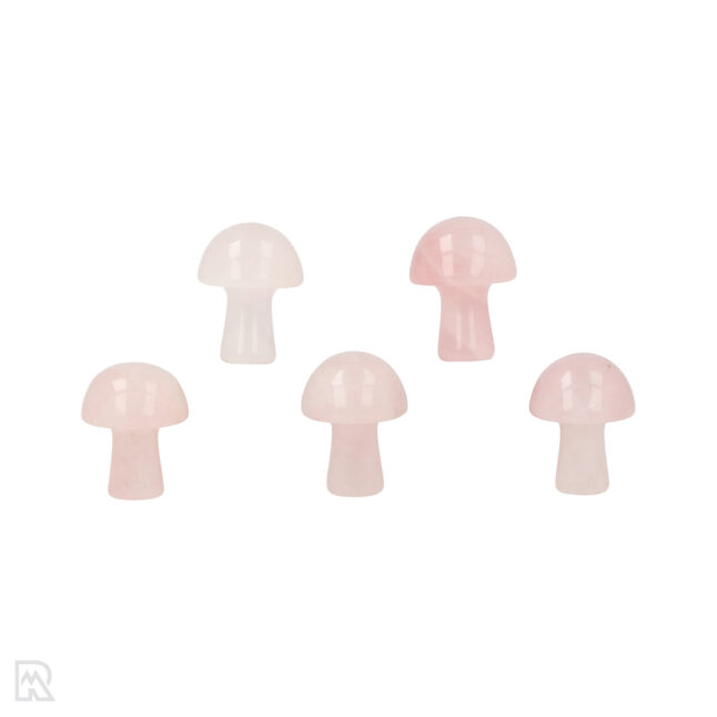 Rozenkwarts Paddenstoel