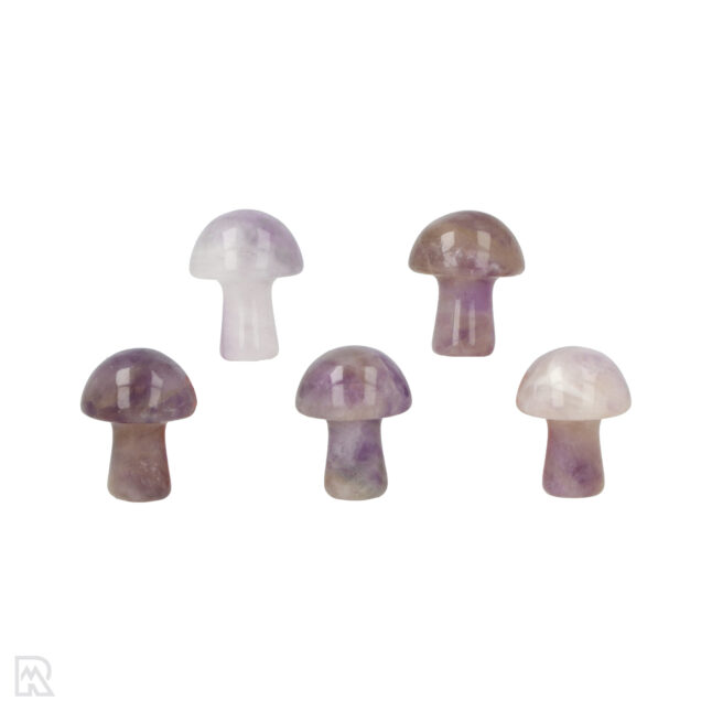 5524 amethist paddenstoel china