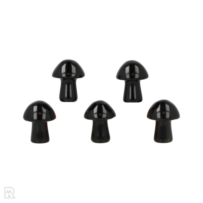 Schwarzer Obsidian Pilz