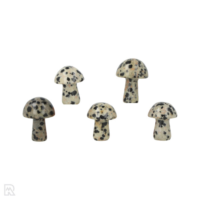 5534 dalmatier jaspis paddenstoel china