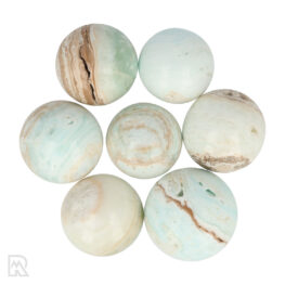 Caribbean Blue Calciet Bollen
