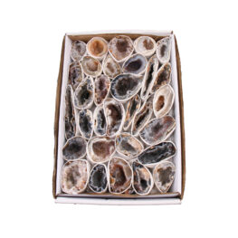 Agate Geodines Sales Box | Single