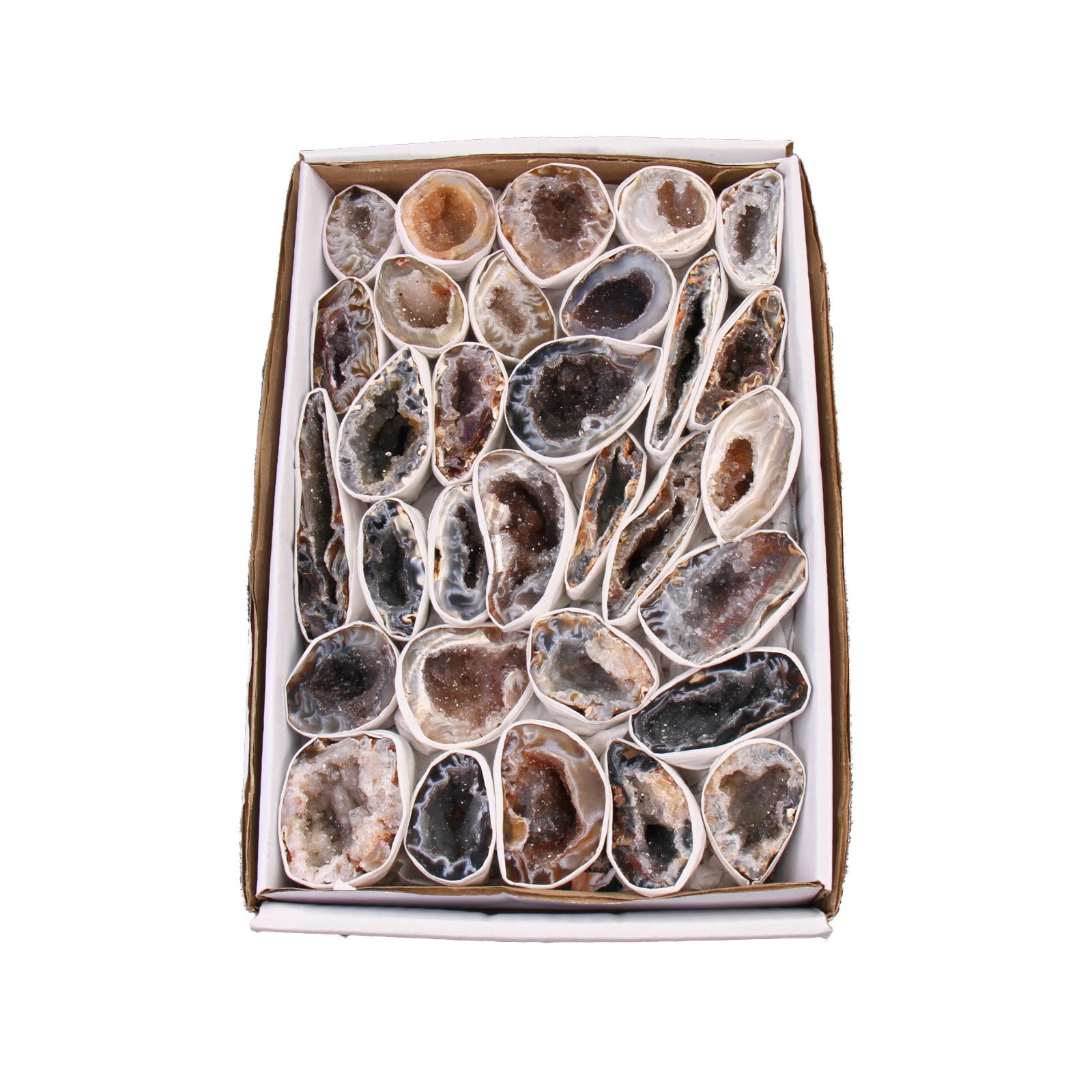 Agaat Geodines Verkoopdoos | Enkel 1 Agate Geodines Sales Box | Single