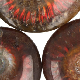 Opalisierte Ammoniten aus Madagaskar mit der Stücknummer 3033