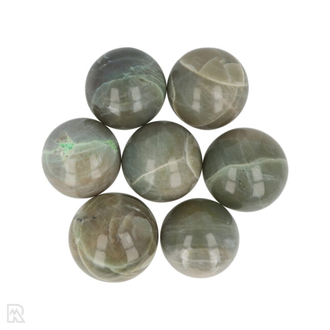 Groene Maansteen Bollen