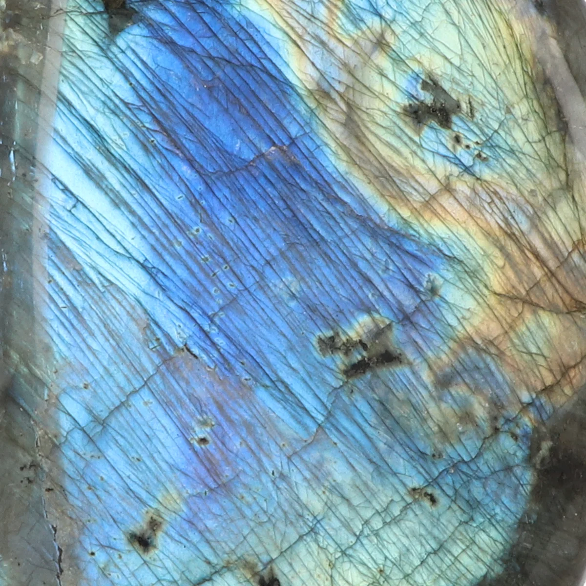 Labradorite Sculpture from Madagascar. with item number 18112
