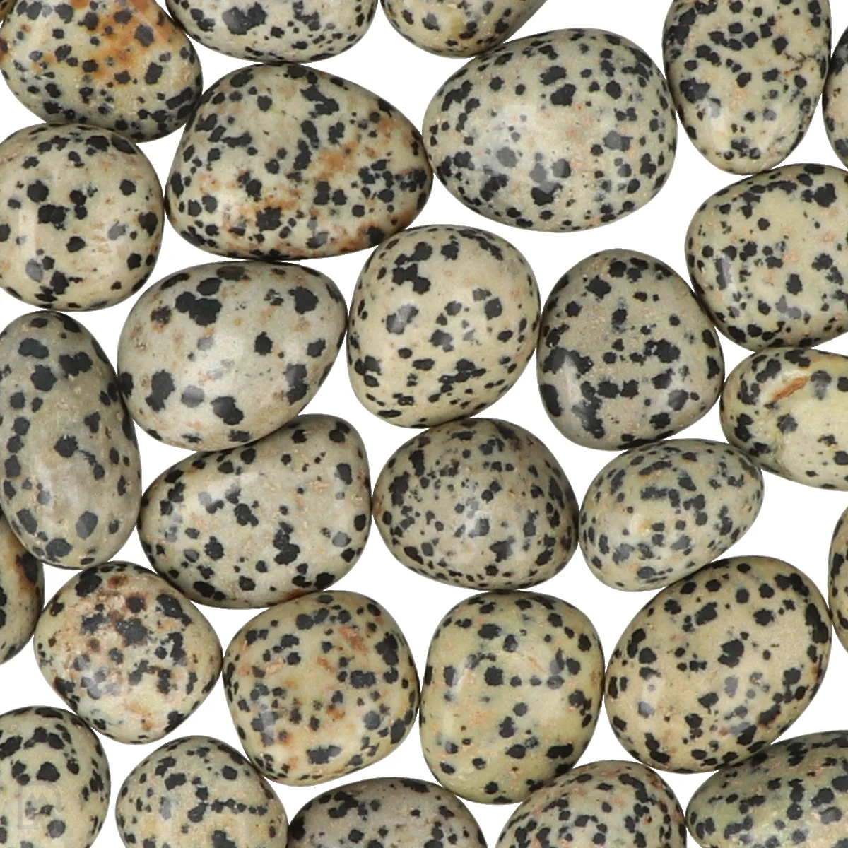 6145 dalmatier jaspis trommelstenen zoom
