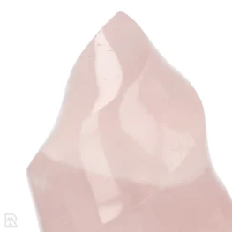 Rozenkwarts Vlam uit Madagaskar met artikelnummer 16717