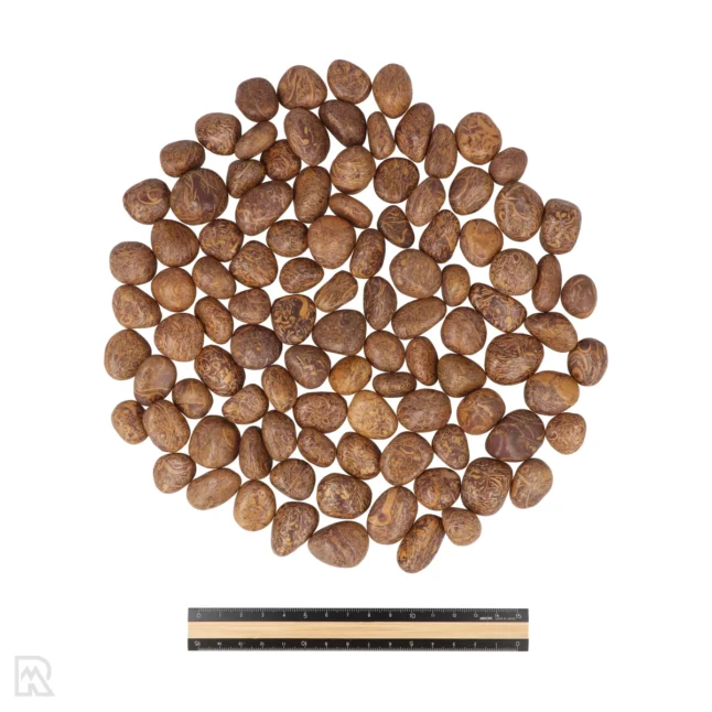 Slangen Jaspis Trommelstenen | S/M - Afbeelding 3