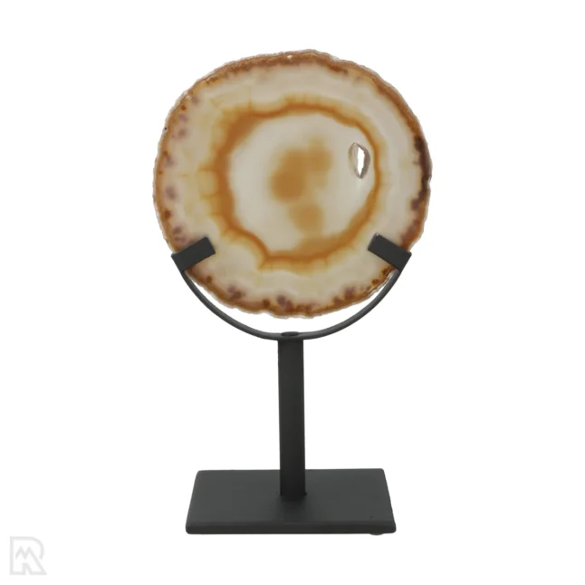 Schijfhouder op Standaard | 7,5 cm - Afbeelding 2