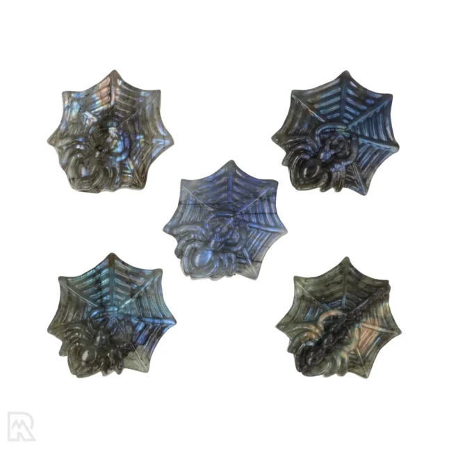 Labradoriet Carving | Spinnenweb