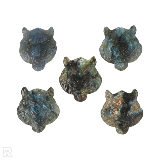 Labradoriet Carving | Tijger