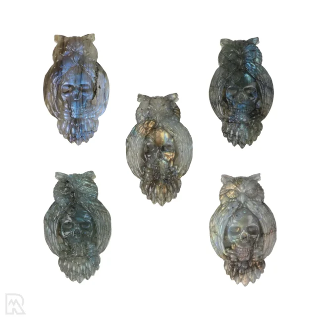 Labradoriet Carving | Uil met Schedel