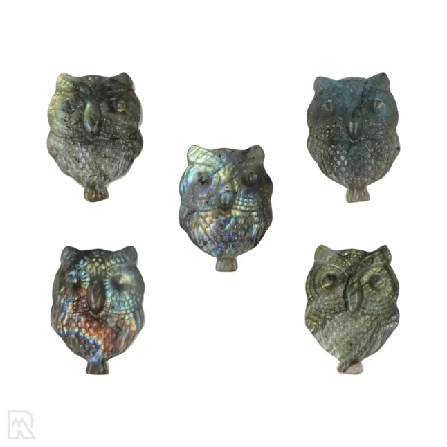 Labradoriet Carving | Uil