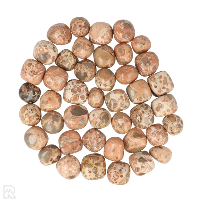 Leopardiet Jaspis Trommelstenen | M