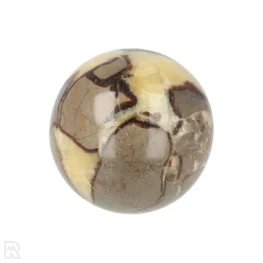 Septarie Bol uit Madagaskar met artikelnummer 18875