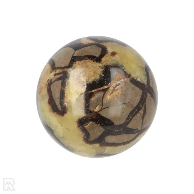 Septarie Bol uit Madagaskar met artikelnummer 18883