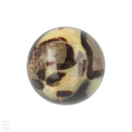 Septarie Bol uit Madagaskar met artikelnummer 18894