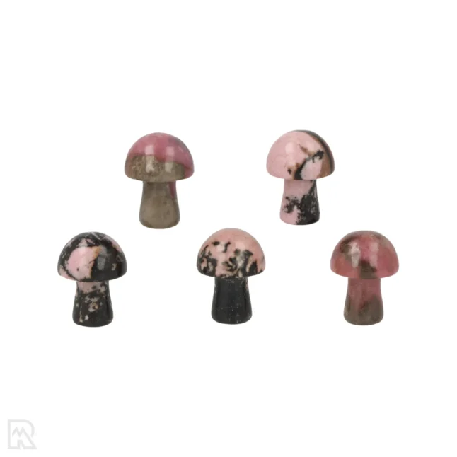 Rhodoniet Paddenstoel