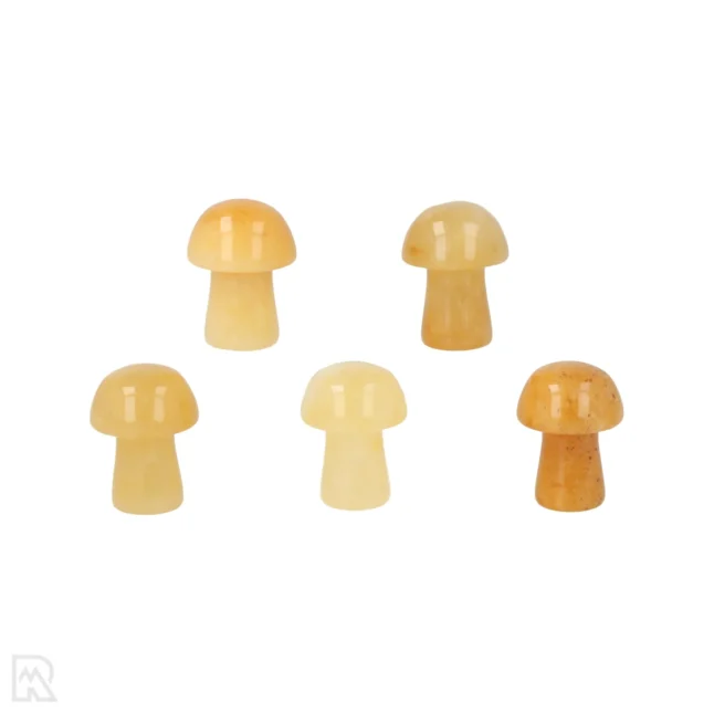 Gele Aventurijn Paddenstoel
