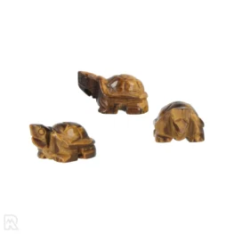 Tijgeroog Schildpad uit China met artikelnummer 5783